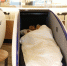 9月22日，一名女生在豆荚床中休息。 - 浙江网