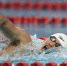 短池游泳世界杯北京站收官 中国选手再夺5金 - 省体育局