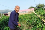 他们的长寿秘诀你想不到！温州百岁老人全省排第一 - Qz828.Com