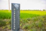 杭州推行永久基本农田保护“田长制” - 国土资源厅