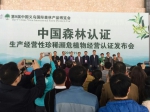 中国森林认证发布会在第9届义乌森博会上举行 - 林业厅