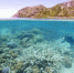 澳大利亚大堡礁白化现象严重。 - 浙江网