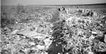 12月23日，长江江苏太仓段江堤，布满了生活垃圾。目前，当地已着手进行清理。 - 浙江网