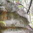 上图：位于法镜寺旁的三生石。 - 浙江网