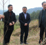省“绿化造林月”指导服务组到温州指导林业工作 - 林业厅