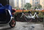 杭州一保安深夜和同事搬共享单车 40多辆腰都搬酸 - 浙江新闻网