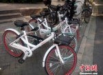 城市中的共享单车。　王逸飞　摄 - 浙江新闻网