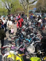 清明小长假 西湖景区被共享单车挤爆了 - 浙江新闻网