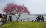 清明小长假 西湖景区被共享单车挤爆了 - 浙江新闻网