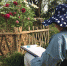 图为：一位美院学生在专注对着一朵牡丹花写生的场景。丁高峰 - 浙江新闻网