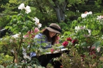 图为：一位美院学生在专注对着一朵牡丹花写生的场景。丁高峰 - 浙江新闻网