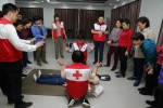 守护生命　“救”在身边——省直机关厅级女干部踊跃学习红十字应急救护知识和技能 - 红十字会