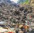 垃圾山污水坑一角。 施力维 摄 - 浙江新闻网