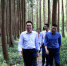 温州市林业局党组书记朱启来到平阳调研林业工作 - 林业厅