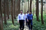 温州市林业局党组书记朱启来到平阳调研林业工作 - 林业厅