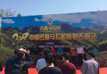 中国古道马拉松陆羽古道站在妙西精彩开幕 - 旅游局