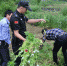 桐庐警民携手努力实现“无毒林区” - 林业厅