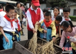 浙江当地志愿者正在教孩子们如何使用打稻机。 记者 张茵 实习生 王远 - 浙江新闻网