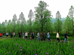省湿地保护中心组织开展湿地植物培育及生态修复示范现场学习活动 - 林业厅