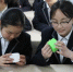 学生们正在学习研究3D模型。　牛妍　摄 - 浙江新闻网