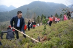 青田县三举措助推小城镇园林绿化提升工作 - 林业厅
