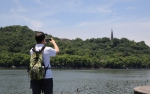 图为：一位游客在西湖保俶塔前拍照。 - 浙江新闻网