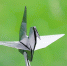 石墨烯膜折叠的千纸鹤。 高超 供图 - 浙江新闻网