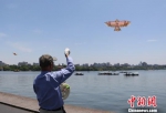 图为：在杭州西湖边放风筝的市民。　王刚 摄 - 浙江新闻网