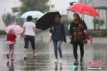 资料图：民众在雨中出行。中新社记者 杨可佳 摄 - 浙江新闻网
