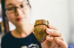 这颗5000年前的木陀螺，挖掘到时保存得非常完好。 - 浙江新闻网