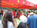 “为民服务，不忘初心”——泰顺县开展“红七月·服务月”党员志愿服务活动 - 林业厅