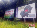 图为：“林区警长”责任区中的标牌。　杨潇潇 摄 - 浙江新闻网