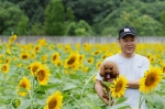 图为：一位市民抱着宠物狗与向日葵合影。王远 - 浙江新闻网