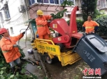 现场工作人员用新型木工机械设备处理绿化垃圾　陈岚　摄 - 浙江新闻网