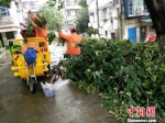 现场工作人员用新型木工机械设备处理绿化垃圾 奚金燕 摄 - 浙江新闻网