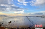 图为浙江海域　浙江海洋与渔业局提供　摄 - 浙江新闻网