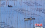 图为浙江海域 浙江海洋与渔业局提供 摄 - 浙江新闻网