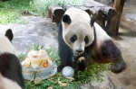 图为：动物园为两位“寿星”准备了冰蛋糕与粗粮窝窝头。王远 摄 - 浙江新闻网
