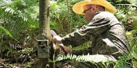 武义应用红外触发数码相机加强野生动物监测保护 - 林业厅