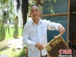 程灶福展示蜜蜂。开化宣传部提供 - 浙江新闻网