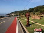 图为浙江海岛公路一景。浙江省公路管理局提供 - 浙江新闻网