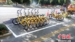 新增泊位内共享单车整齐有序停放　杭州市城管委提供　摄 - 浙江新闻网