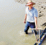 8月4日，专职滩长黄吉备驾驶着自制“海马”，在烈日下飞驰于茫茫滩涂。记者 潘良干 姚群 石怡锋 摄 - 浙江新闻网