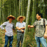 龙游森防专家上竹山指导竹林虫害防治工作 - 林业厅