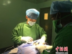 金东辉在为病人做手术。金东辉提供 - 浙江新闻网