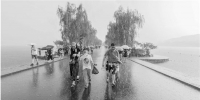 前天下午，一场雷阵雨突袭白堤。拍友流水2011摄 - 浙江新闻网