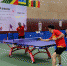 “一带一路”中非羽毛球、乒乓球邀请赛在浙江建德、奉化举行 - 省体育局