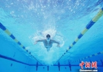 运动员戴上泳镜、泳帽后一个纵身跃入泳池。校方提供 - 浙江新闻网