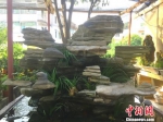 徐舍林自己创作的喷泉盆景。　周禹龙　摄 - 浙江新闻网