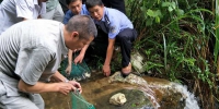 景宁县森林公安局连续破获非法狩猎、出售野生石蛙案件 - 林业厅